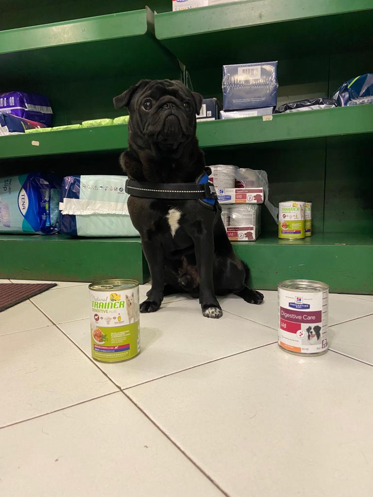 Farmacia Sant'Ilario Genova Nervi mascotte Gigio